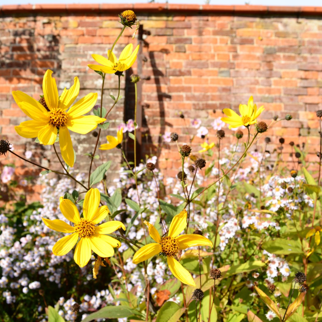 2018-10-07_10-14-39_800